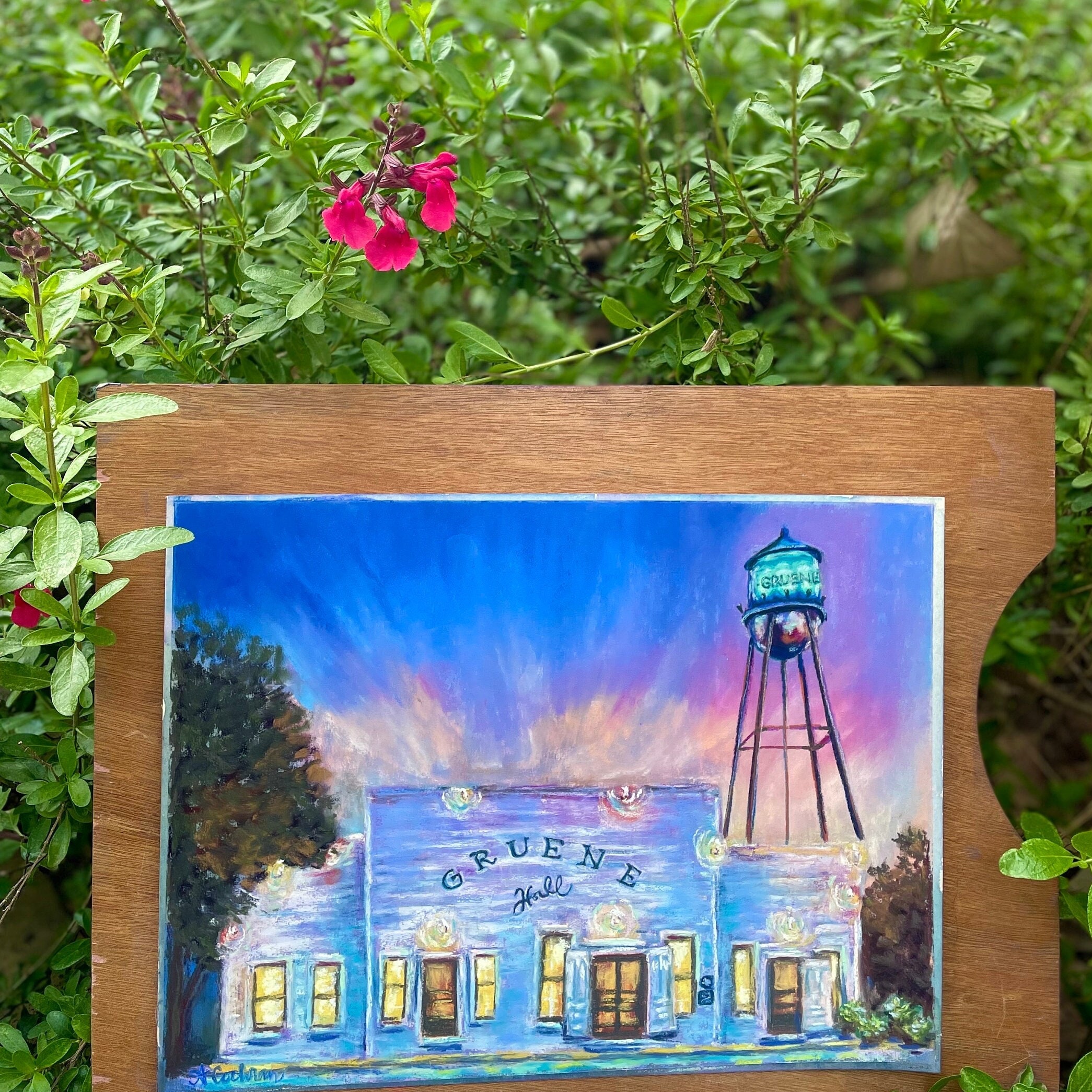 Gruene Hall Pastel
